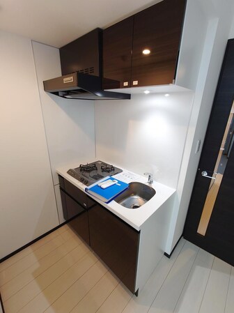 GENOVIA両国VI green veilの物件内観写真